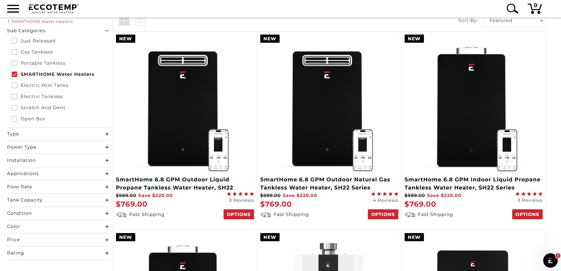 Eccotemp ecommerce website preview